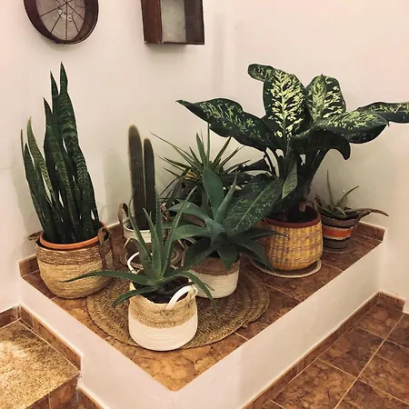 Casita Volcan Lanzarote