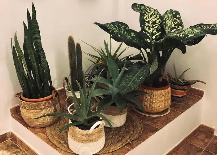 Casita Volcan Lanzarote